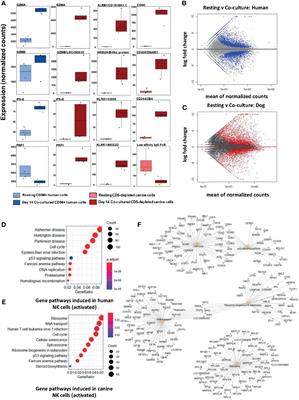Comparative Immunogenomics of Canine Natural Killer Cells as Immunotherapy Target